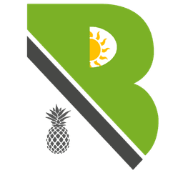 Be Nice Hospitality Group